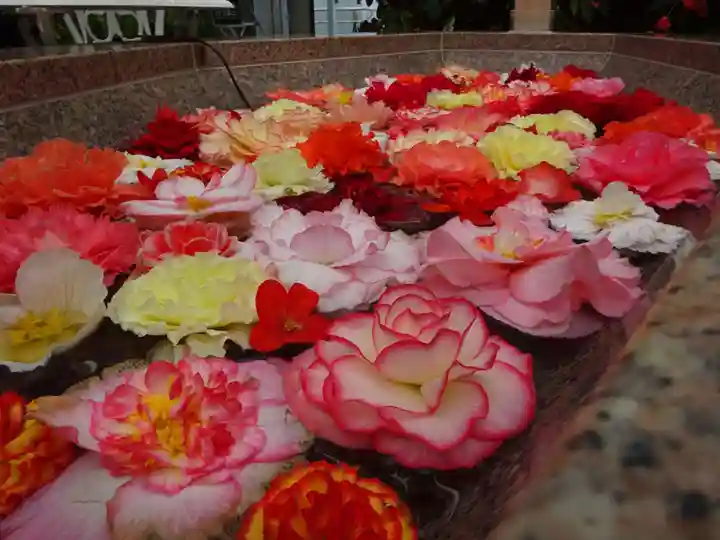 阿邪訶根神社の自然
