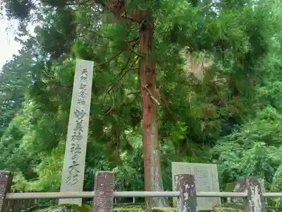 妙義神社のその他建物
