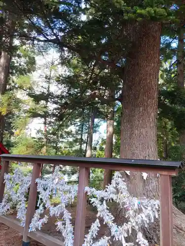 天照御祖神社(岩手県)
