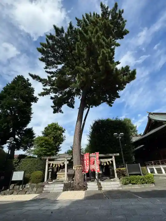 中野沼袋氷川神社(東京都)