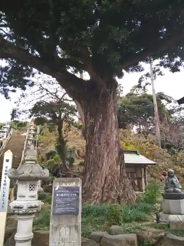 長谷寺(神奈川県)