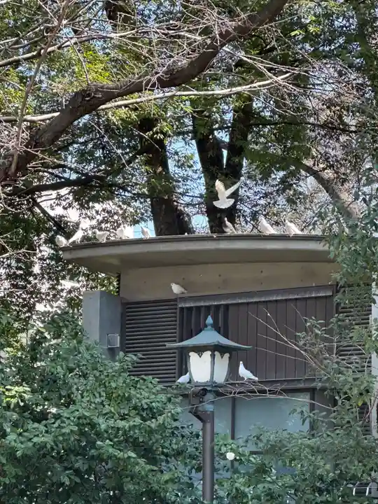 靖國神社(東京都)