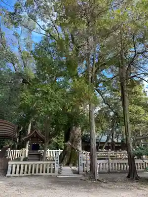 伊弉諾神宮(兵庫県)