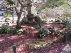 南禅寺の庭園