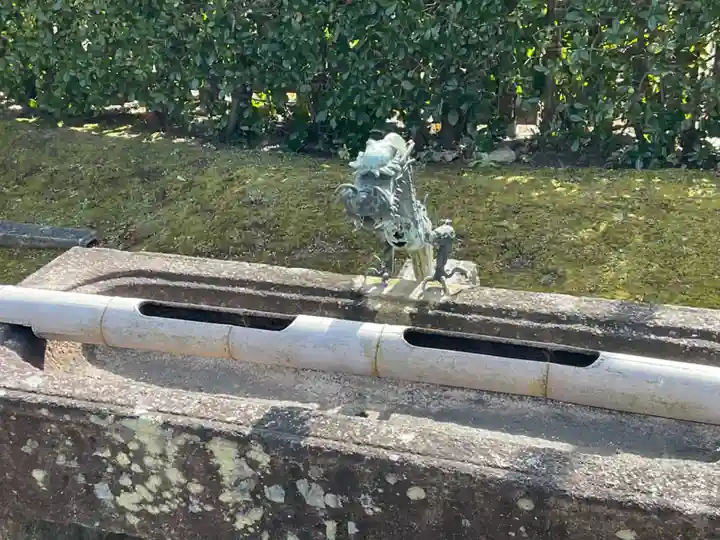 菩提院の手水舎