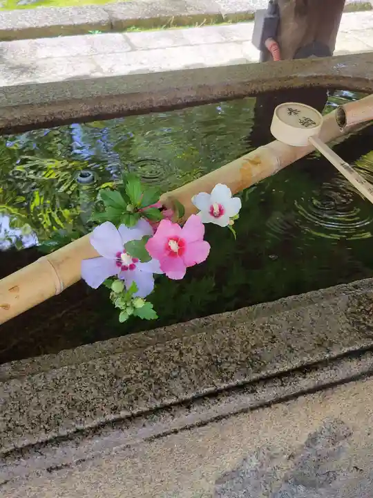 真正極楽寺(真如堂)の手水舎