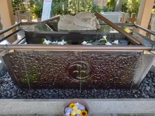 亀ケ池八幡宮(神奈川県)