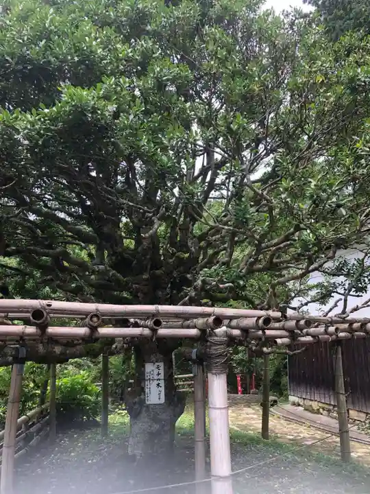 宝厳寺の自然