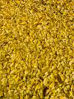 土津神社|こどもと出世の神さまの自然