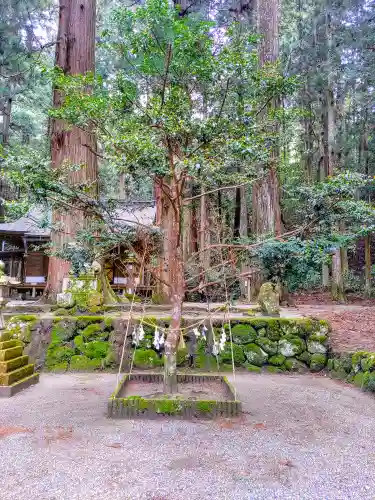 室生龍穴神社の自然