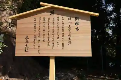 和泉國一之宮　大鳥大社(大阪府)