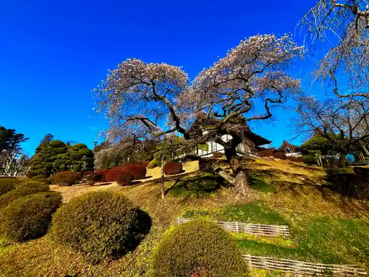 志波彦神社・鹽竈神社(宮城県)