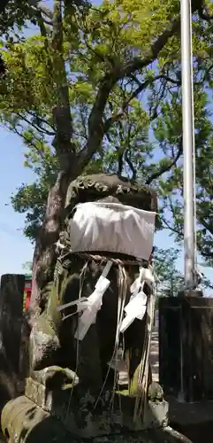 四山神社の狛犬