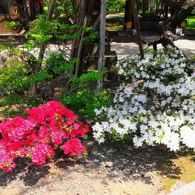 彌彦神社 (伊夜日子神社)の庭園