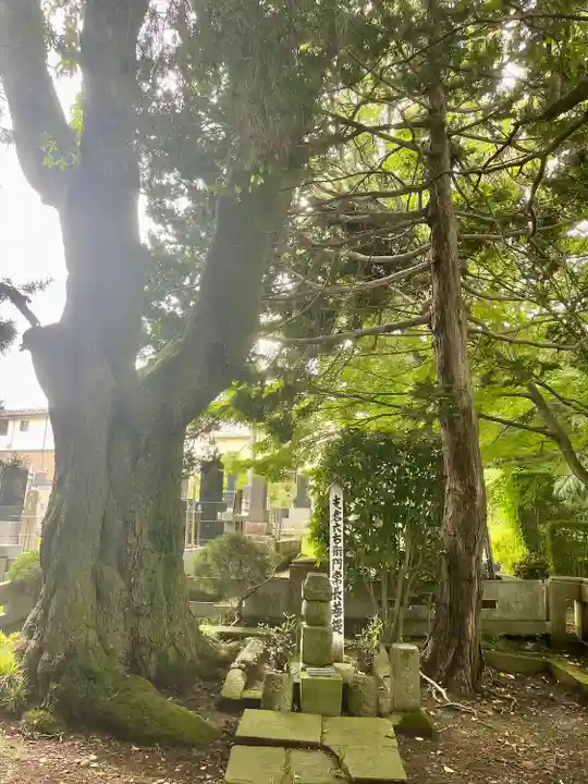 光明寺(宮城県)