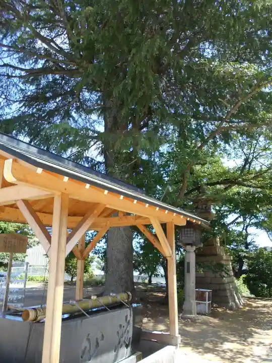 子鍬倉神社の手水舎