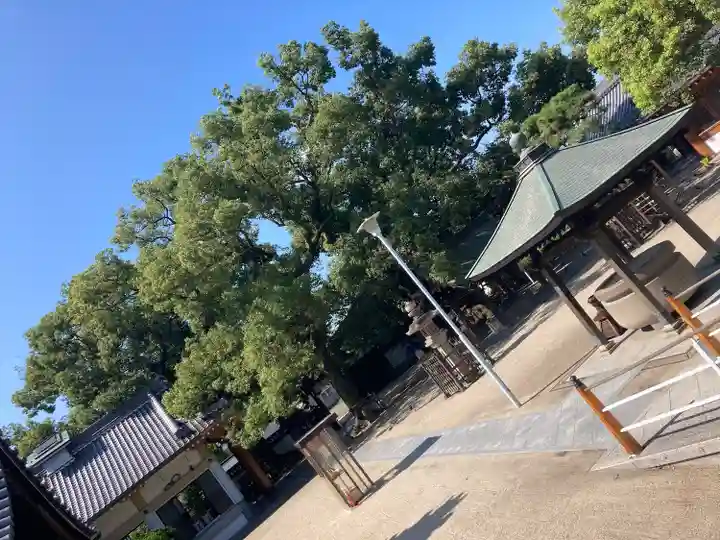 大聖観音寺(あびこ観音)のその他建物