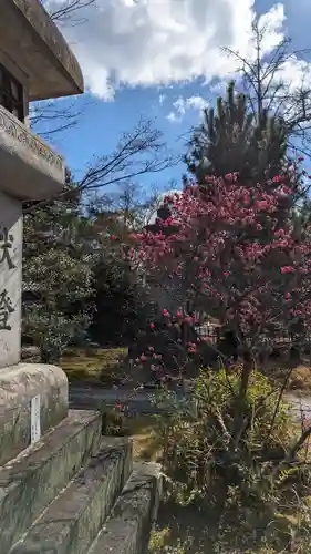清凉寺(京都府)