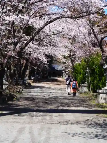 冨士御室浅間神社の自然