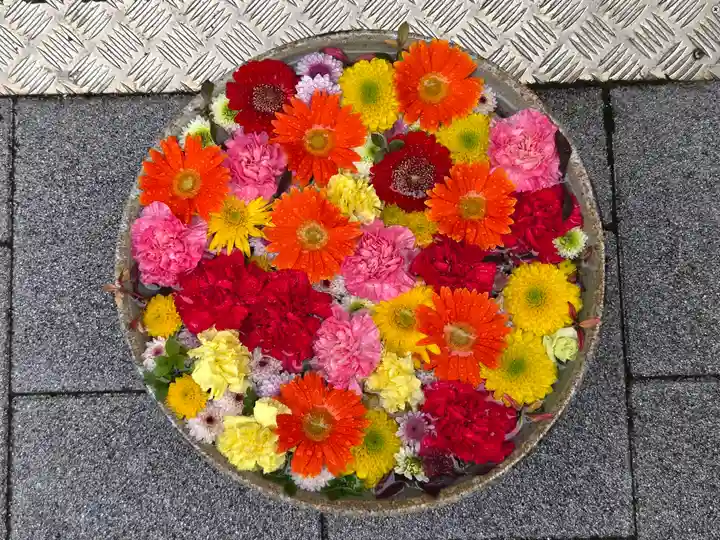 成田山深川不動堂(新勝寺東京別院)(東京都)