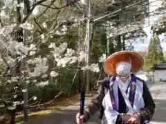 大窪寺の自然