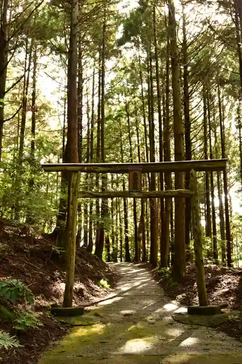 立岩神社(徳島県)