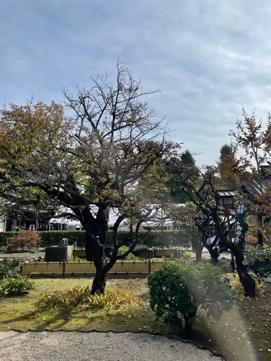 寛永寺開山堂の自然