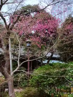 靖國神社(東京都)