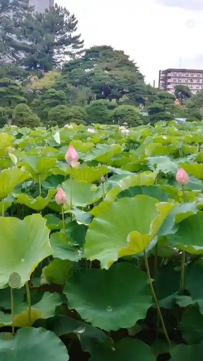 白山神社の庭園