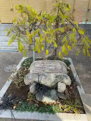 伝法寺(千葉県)