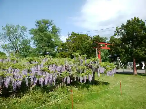 北海道護國神社の庭園