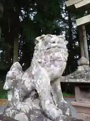 草部吉見神社の狛犬