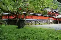 丹生都比売神社の本殿