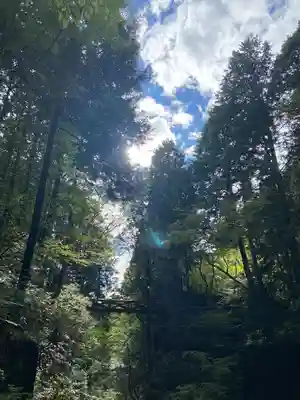 竜神神社(岐阜県)