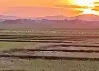 白狐山光星寺(山形県)