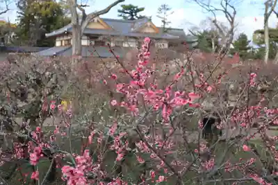 北野天満宮(京都府)