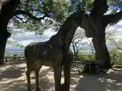 男女神社の建物その他