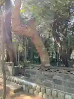 鎌田神明宮(静岡県)