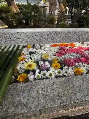 竹駒神社の{uncategorized: "未分類", other: "その他", undefined: "問題あり", building: "その他建物", grave: "お墓", sacred_gate: "鳥居", guardian: "狛犬", statue: "像", buddha: "仏像", history: "歴史", nature: "自然", garden: "庭園", animal: "動物", pagoda: "塔", temizu: "手水舎", mountain_gate: "山門・神門", sanctuary: "本殿・本堂", subordinate: "末社・摂社", art: "芸術", scenery: "景色", jizo: "地蔵", ema: "絵馬", goshuin: "御朱印", omikuji: "おみくじ", items: "授与品その他", amulet: "お守り", goshuincho: "御朱印帳", eats: "食事", festival: "お祭り", votive_dance: "神楽", shichigosan: "七五三参", wedding: "結婚式", experience: "体験その他", initially: "初詣", around: "周辺", anti_infection: "感染症対策"}