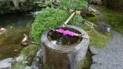 一條殿 新善光寺の手水舎
