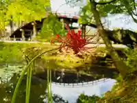 丹生都比売神社(和歌山県)