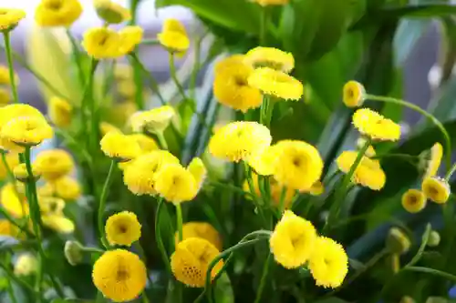 三津厳島神社の自然