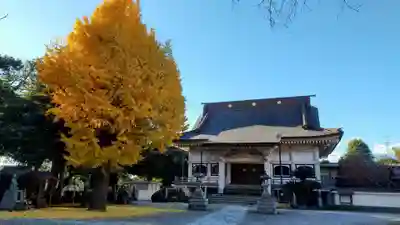 弘経寺(茨城県)