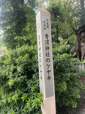 青渭神社のその他建物