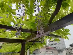 春日神社(大阪府)