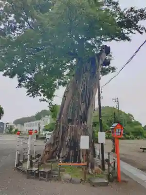 米島香取神社(埼玉県)