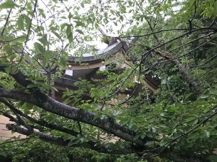光雲神社(福岡県)