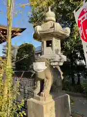 矢向日枝神社の狛犬