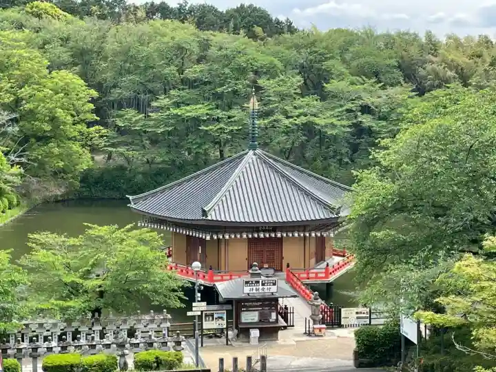 安倍文殊院 の{uncategorized: "未分類", other: "その他", undefined: "問題あり", building: "その他建物", grave: "お墓", sacred_gate: "鳥居", guardian: "狛犬", statue: "像", buddha: "仏像", history: "歴史", nature: "自然", garden: "庭園", animal: "動物", pagoda: "塔", temizu: "手水舎", mountain_gate: "山門・神門", sanctuary: "本殿・本堂", subordinate: "末社・摂社", art: "芸術", scenery: "景色", jizo: "地蔵", ema: "絵馬", goshuin: "御朱印", omikuji: "おみくじ", items: "授与品その他", amulet: "お守り", goshuincho: "御朱印帳", eats: "食事", festival: "お祭り", votive_dance: "神楽", shichigosan: "七五三参", wedding: "結婚式", experience: "体験その他", initially: "初詣", around: "周辺", anti_infection: "感染症対策"}