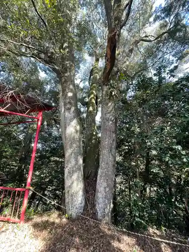 岩嶽稲荷大明神の自然